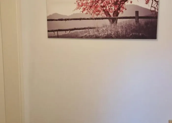 Sson-appartments * Detmold